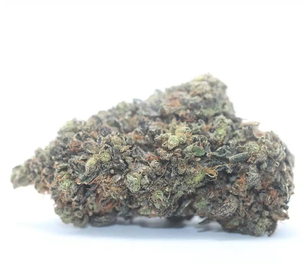 Oz – Mk Ultra